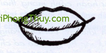 Nhín tướng miệng là đoán biết người phú quý may mắn và cát tường