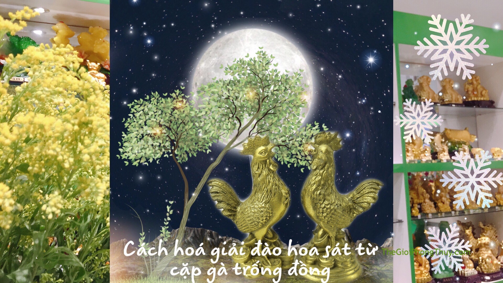 [Video]Gà đồng phong thủy - Cách hóa giải "đào hoa sát" | 51