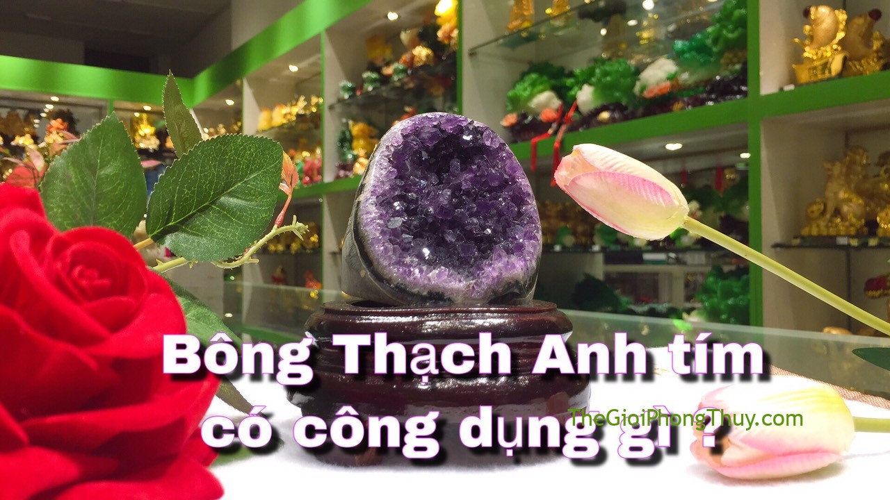 [video]Tác dụng của Đá Thạch Anh Tím? Thạch Anh Tím mua giá bao nhiêu? #02