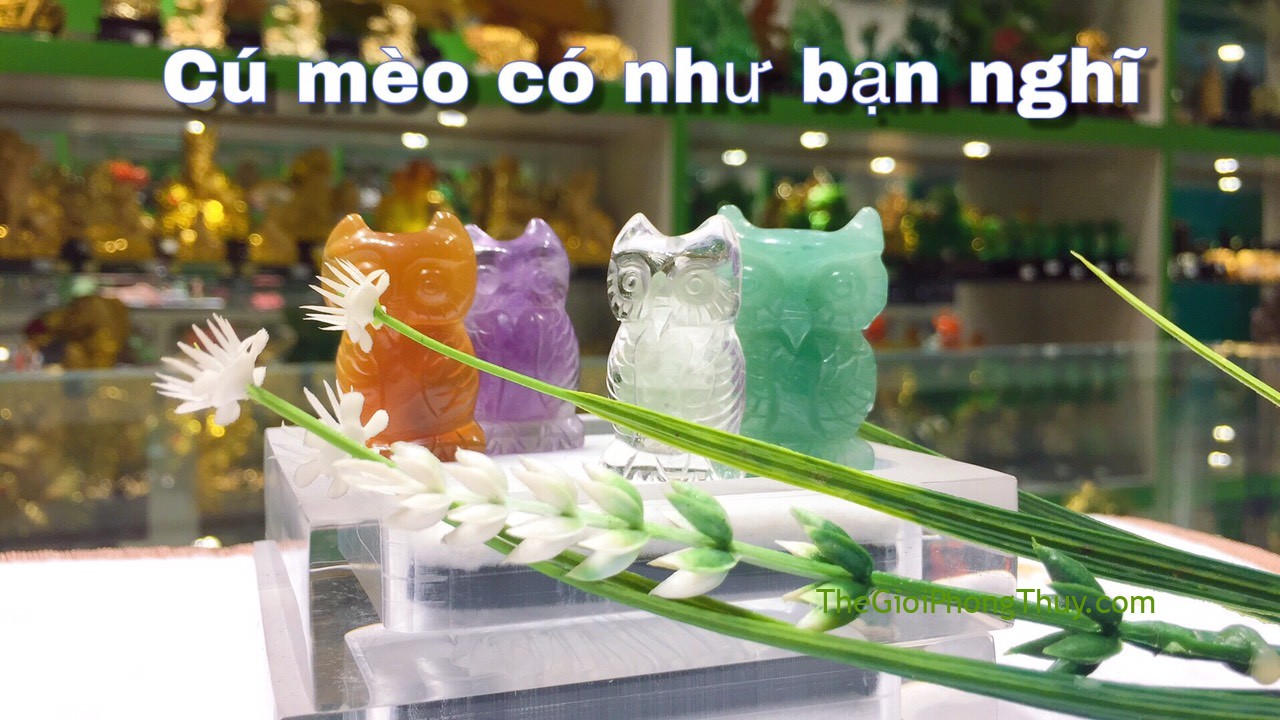 [video]Cú mèo đá thạch anh – linh vật biểu tượng của sự tiên tri #01