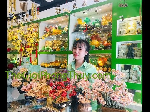 [Video] Năng Lượng Phong Thủy - Nữ 1990 sử dụng cây tài lộc màu nào để đem lại tài lộc dồi dào