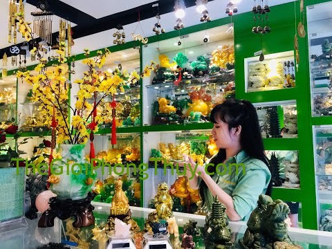 [Video] Năng Lượng Phong Thủy - Long Quy (Rùa Đầu Rồng) hóa giải Tai Ách, thu hút Vận May