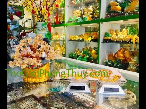 [Video] Năng Lượng Phong Thủy - Hồ Phách - Lá bùa hộ mệnh cho sức khỏe