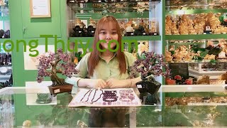 [Video] Phong Thủy May Mắn – Trang Sức Thạch Anh Tím Tác Dụng Thế Nào?