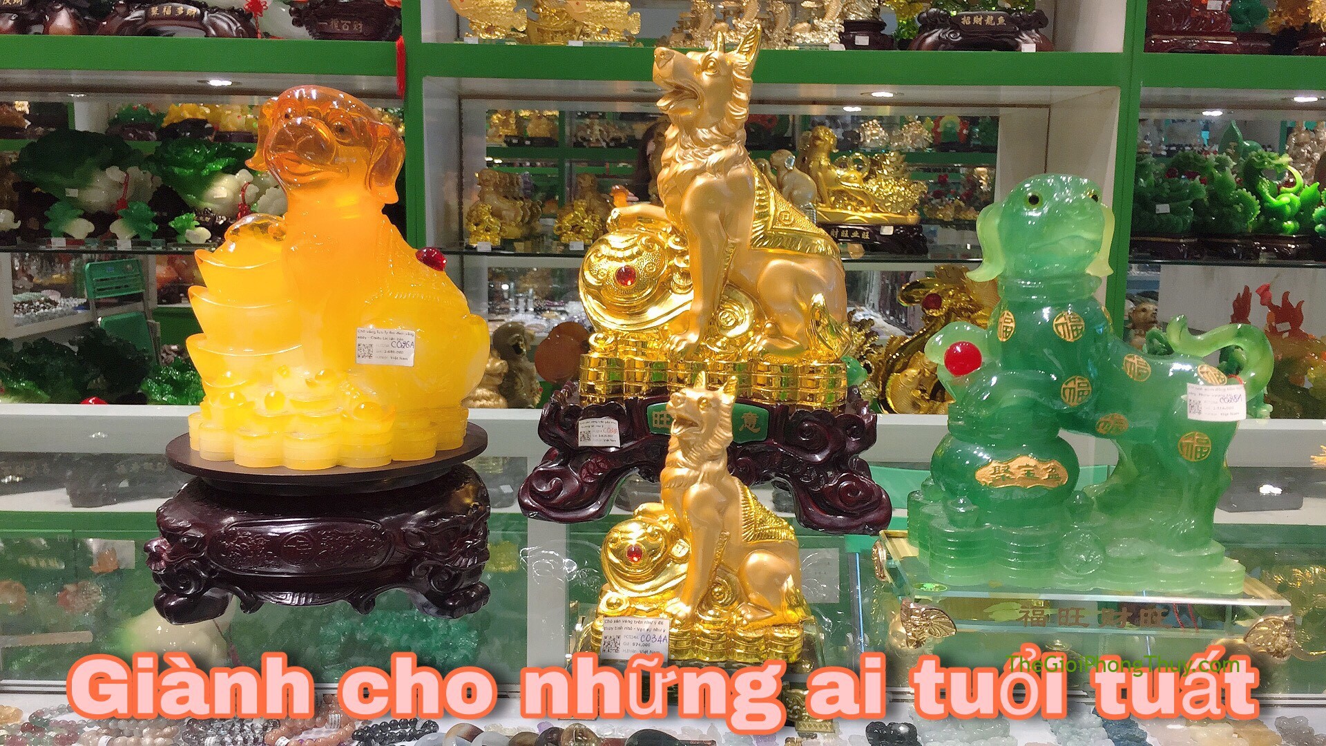 [Video]Biểu tượng Tuất (Chó) trong phong thủy | 66