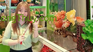 [Video] Phong Thủy May Mắn – Tiền Xu May Măn