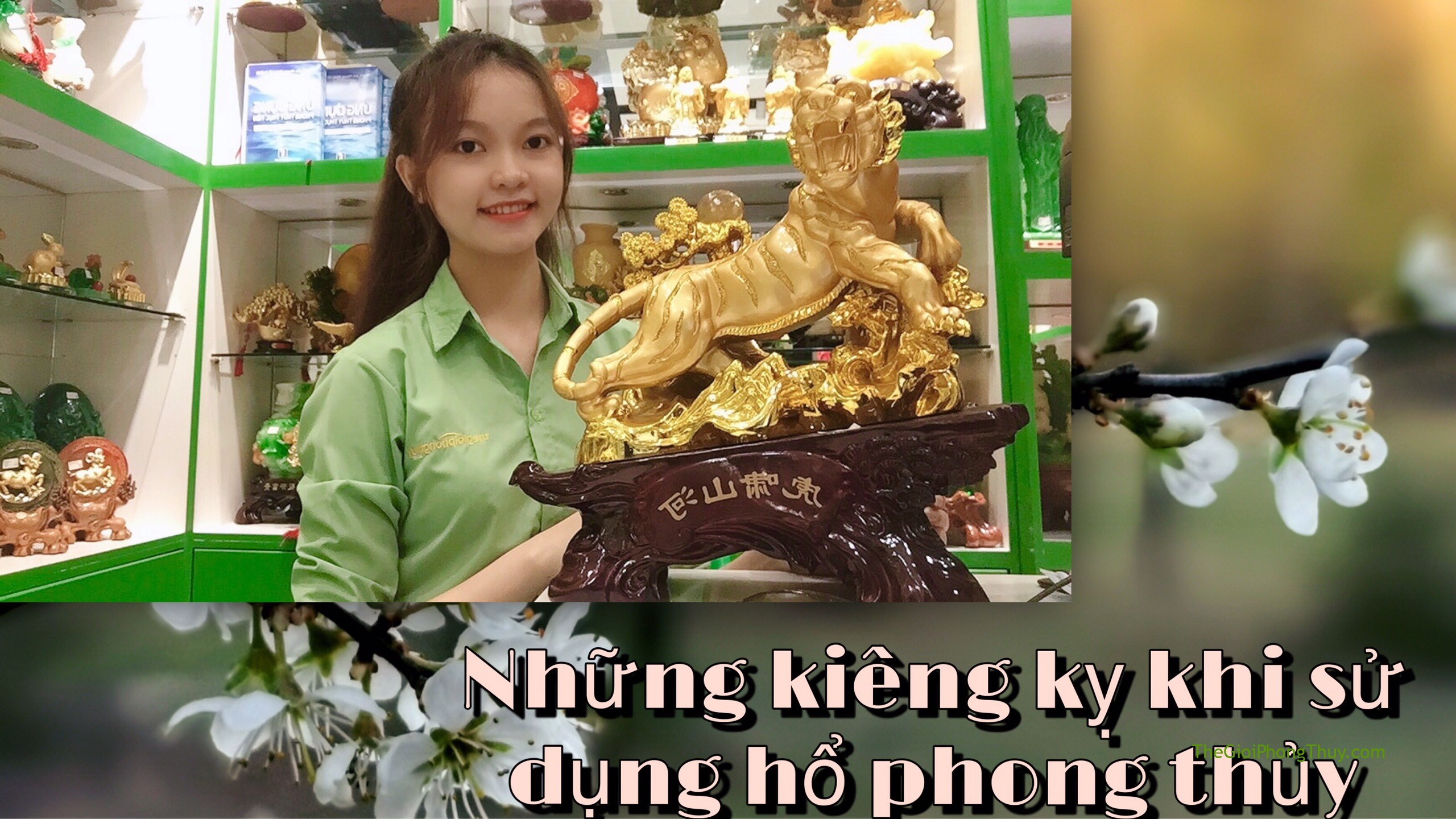 [Video]Những kiêng kỵ khi sử dụng Hổ (Cọp) phong thủy | 73