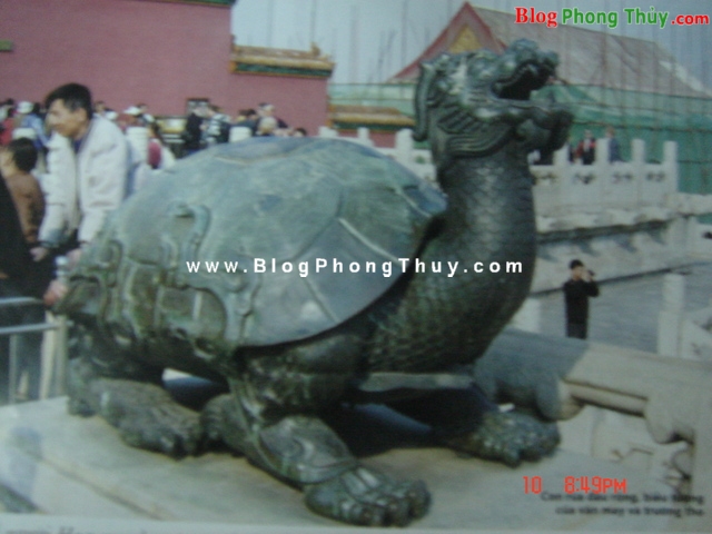 dsc05247zt6 Ve sầu và rùa   những biểu tượng mạnh mẽ