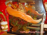 20100111113052 vat pham so 184 Một số hình ảnh Thế Giới Phong Thủy Tại hệ thống Cửa hàng VatPhamPhongThuy.com