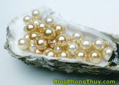ngoc phong thuy 09 Nguồn gốc những loại ngọc phong thủy quý hiếm của Trung Hoa