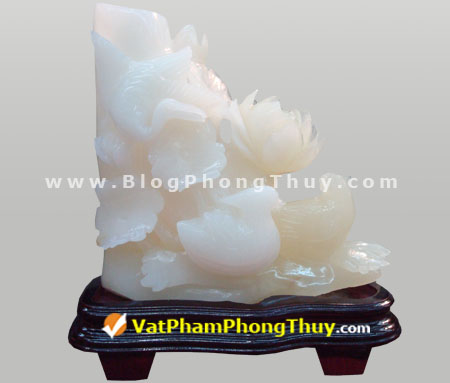 hoa mau don chim hac uyen uong Chuyện về Hoa Mẫu Đơn, loài hoa của phú quý và tình duyên