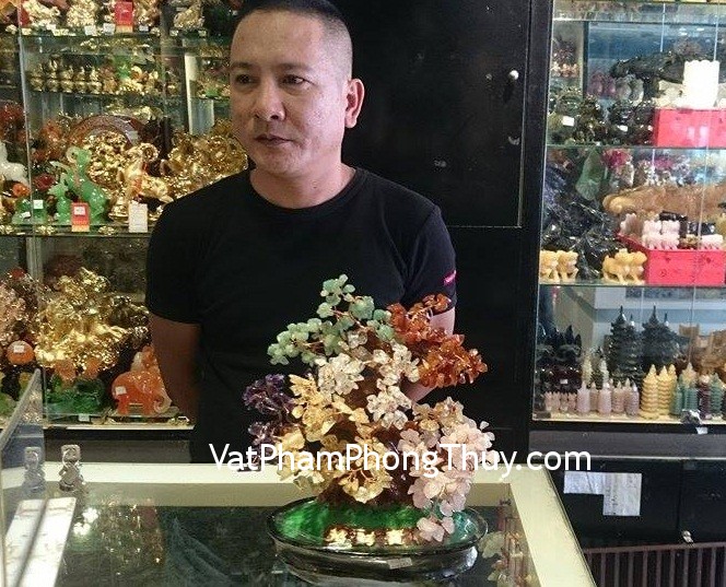Anh Quang - Khách hàng mua cây tài lộc 6 màu HCA258