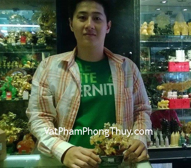 Anh Hùng - Khách mua cây thạch anh vàng nhỏ CA236