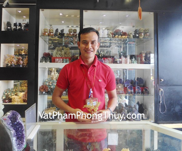 Anh Hà - Khách hàng mua cây tài lộc đá cẩm lãm CA218
