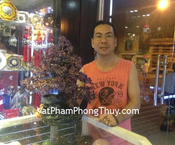 Vợ chồng chị Hồng- khách hàng mua cây thạch anh tím phong thủy luân HCA253