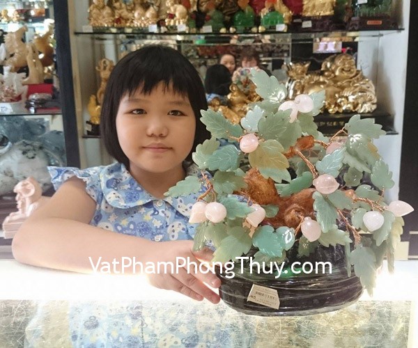 Bé Trinh - khách hàng mua cây đào thạch anh hồng CA115