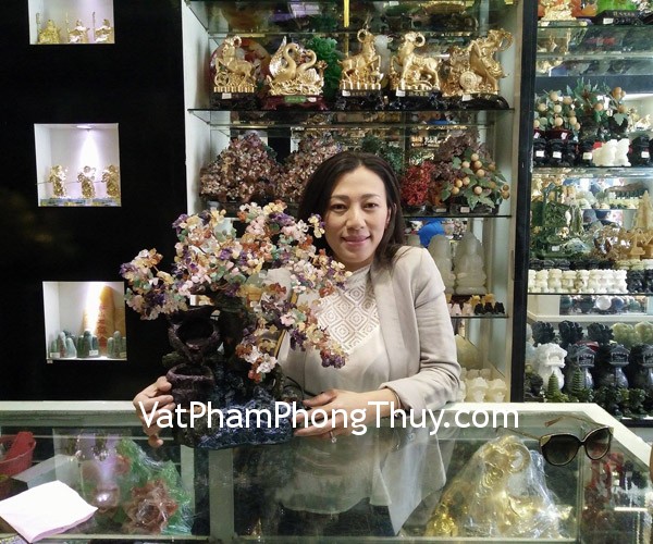 Chị Hà - khách hàng mua cây tài lộc phong thủy luân KC001