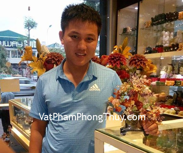 Anh Nam - khách hàng mua cây tài lộc KC006