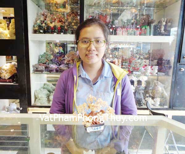 Chị Hoàng Anh - khách hàng mua Cây tài lộc thạch anh vàng mini KC047