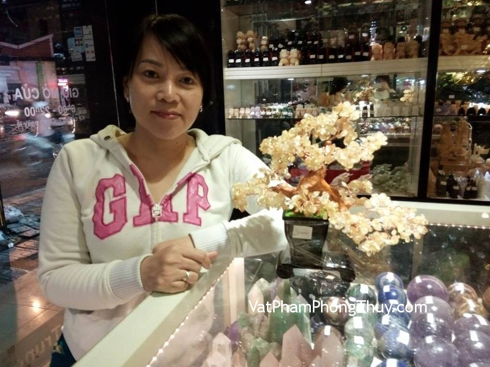 Chị Hồng - khách hàng mua cây tài lộc đá thạch anh vàng KC019
