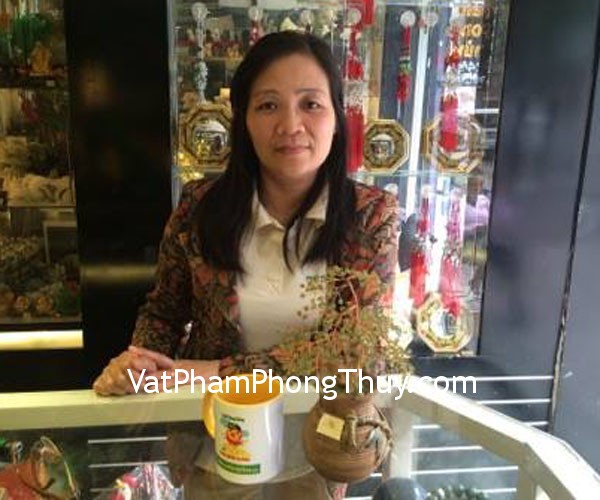Chị Diệp- khách hàng mua cây tài lộc đá cẩm lãm CA243