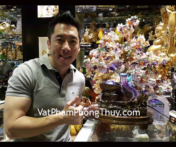 MR JOHN WONG - khách hàng mua cây tài lài lộc phong thủy luân nhiều màu KC063