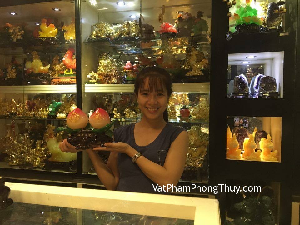 Vợ chồng anh Hoàng - khách hàng mua cặp song đào hồng trắng H337G
