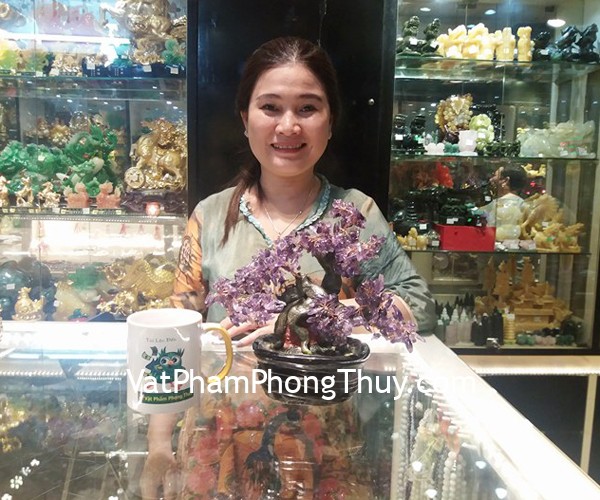 Cô Trang - Khách hàng mua Cây tài lộc thạch anh tím KC084