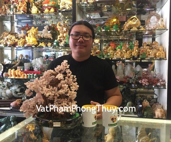 Anh Đạt- khách hàng  mua chuỗi ruby xanh đỏ S6244-S3-21795, cây tài lộc thạch anh hồng KC078, cây tài lộc thạch anh tím KC079 và hồ lô trơn nhỏ D206