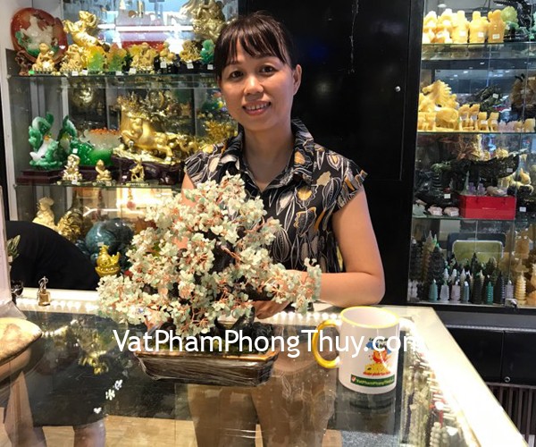 Chị Thơm - Khách hàng mua Cây tài lộc kiểu mới pháo hoa thạch anh xanh KC072