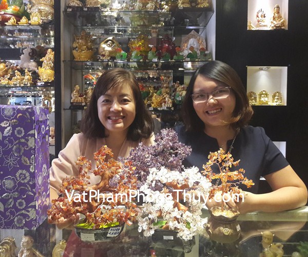 Chị Thảo - Khách hàng mua cây tài lộc thạch anh tím KC028