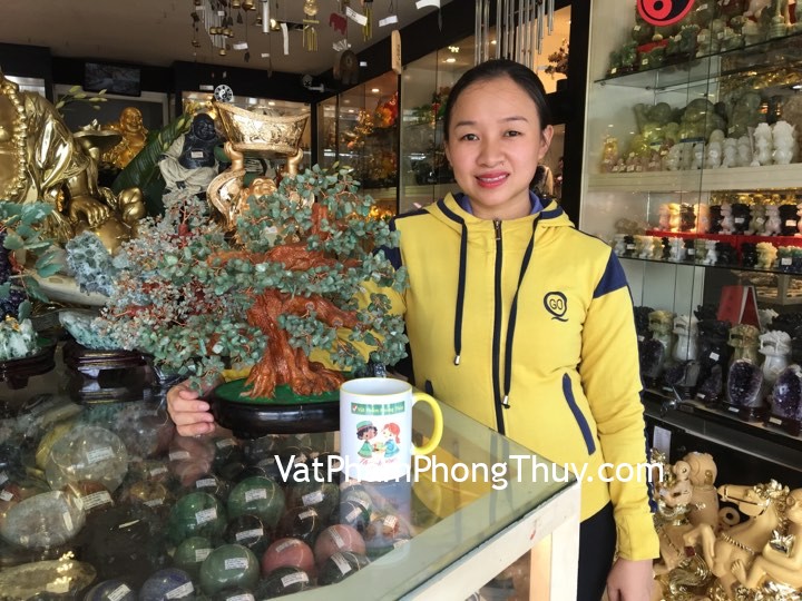 Chị Bích - khách hàng mua cây tài lộc ngọc đông linh KC015