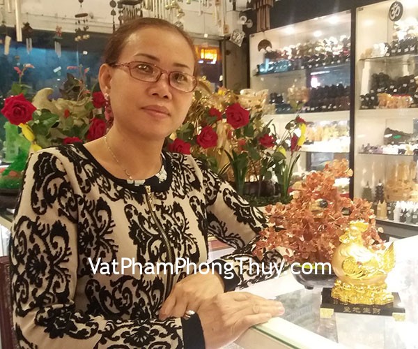Chị Thịnh - Gà mái ấp trứng vàng G074A và Cây tài lộc mã não đỏ trung KC054