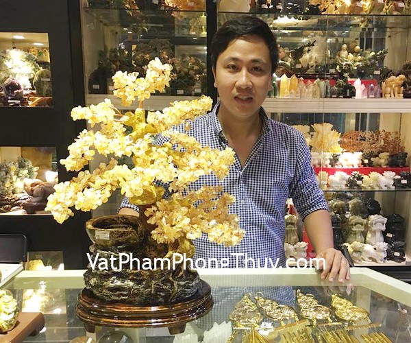 Anh Hải - khách hàng mua Cây thạch anh vàng phong thủy luân KC100, Chuông gió hồ lô đồng D257