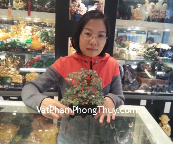 Chị Vân - khách hàng mua cây tài lộc đá ngọc đông linh KC044