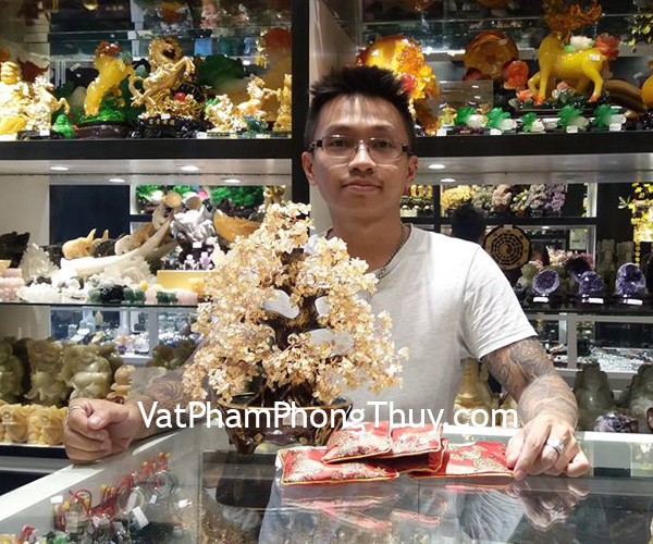 Anh Hiệp - khách hàng mua cây tài lộc thạch anh vàng KC100, KC104, trang sức phong thủy đá quý S6865-6, S6739-4163, S6420